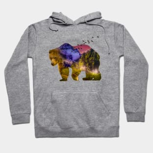 Bear Country Hoodie